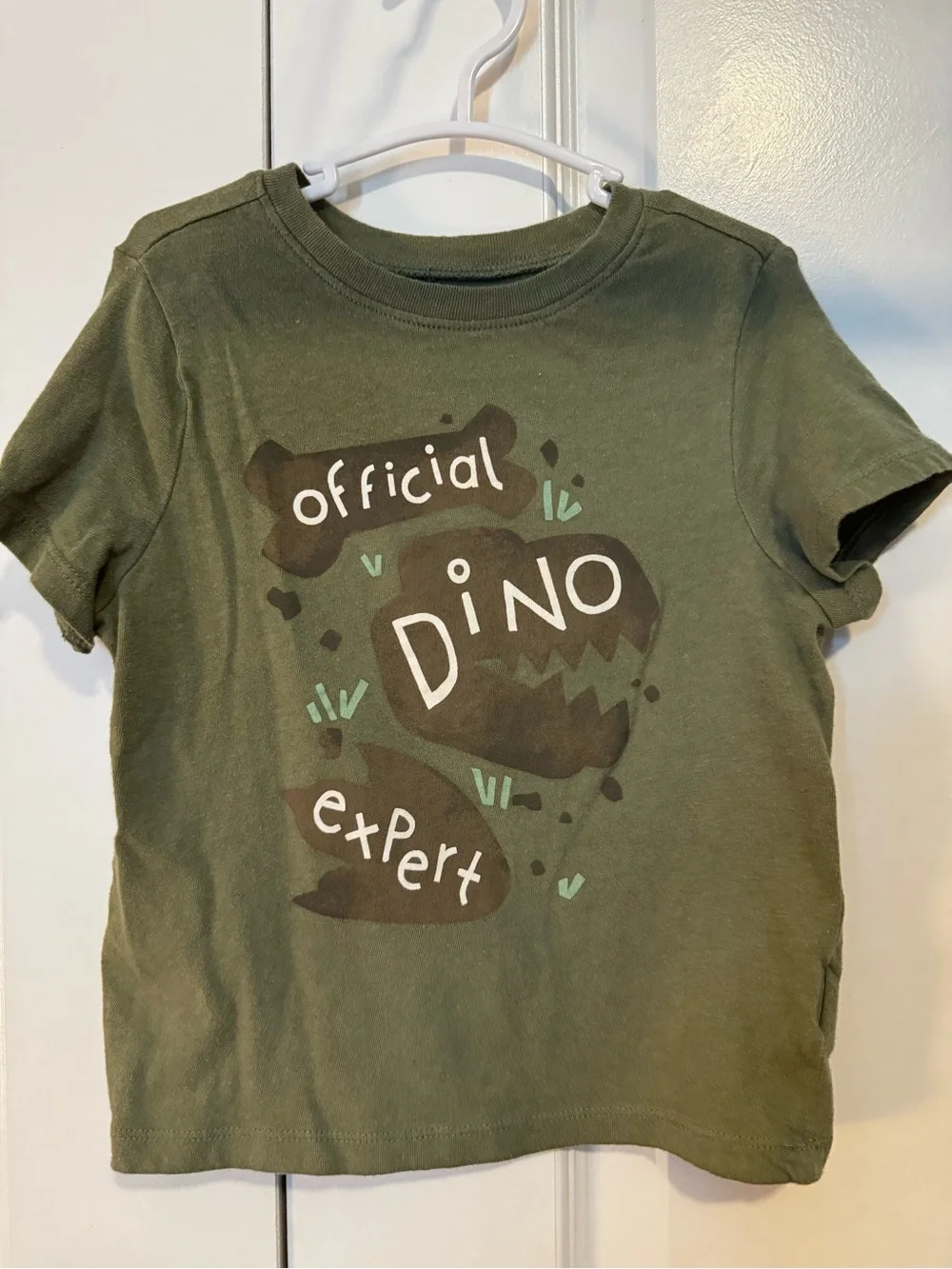 Old Navy Official Dino Expert Green Kids T-Shirt